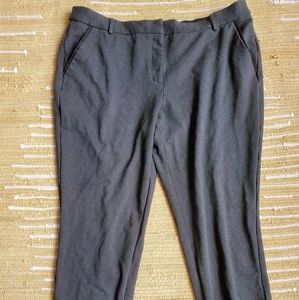 Express columnist ankle pants